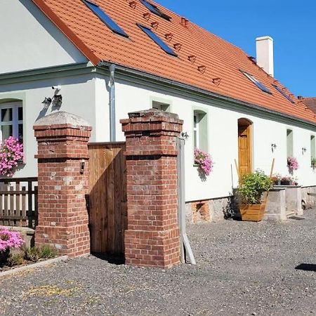Skotopaska Skape Esterno foto