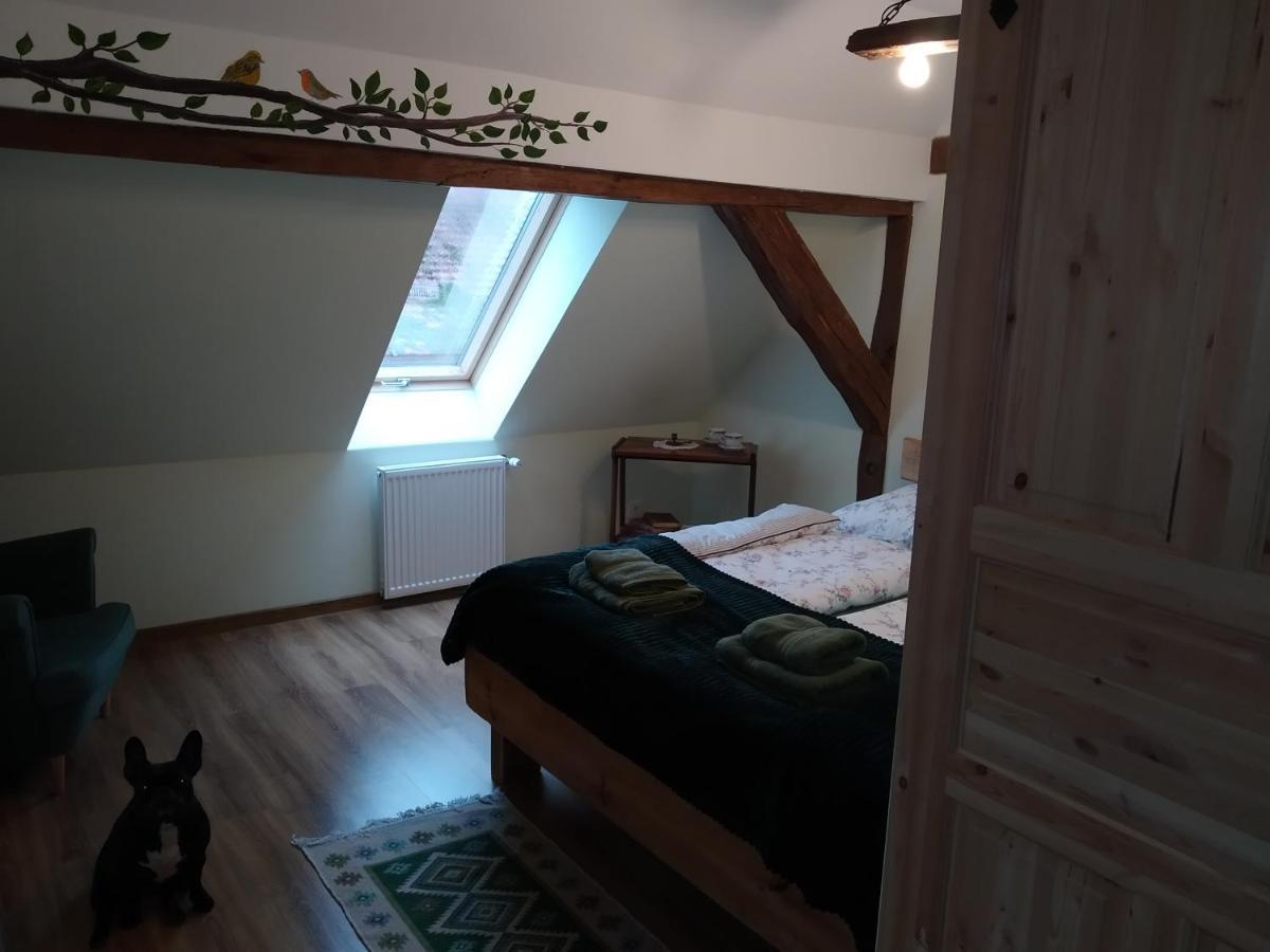 Skotopaska Skape Esterno foto
